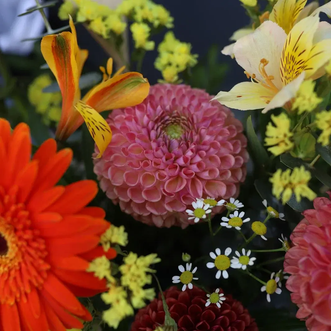 Уход за цветами — советы от Flowstory