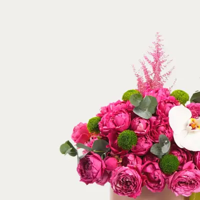 Композиции