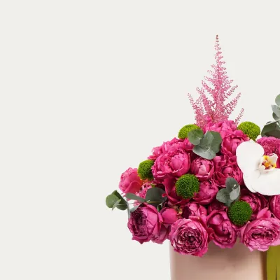 Композиции