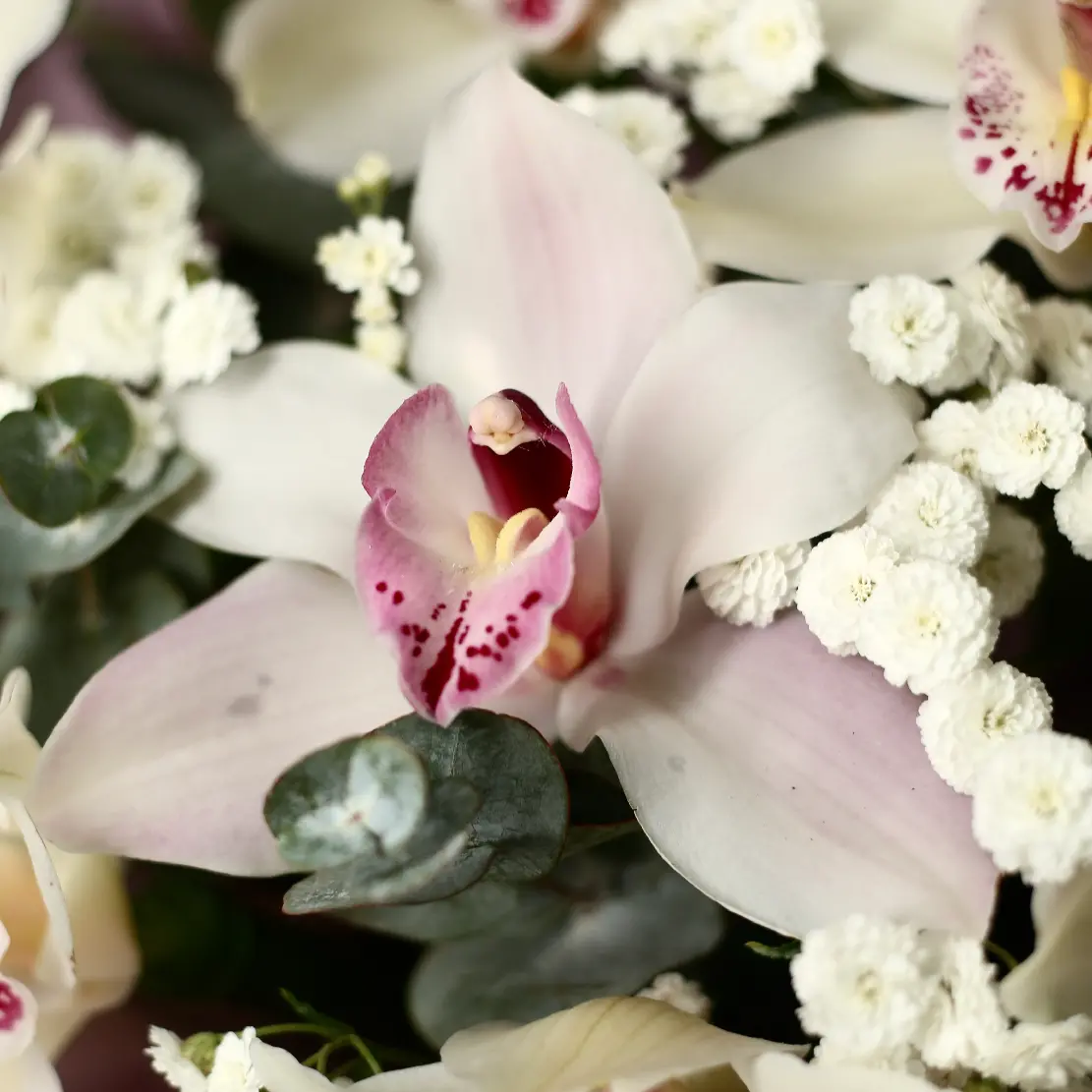 Шляпная коробка 580