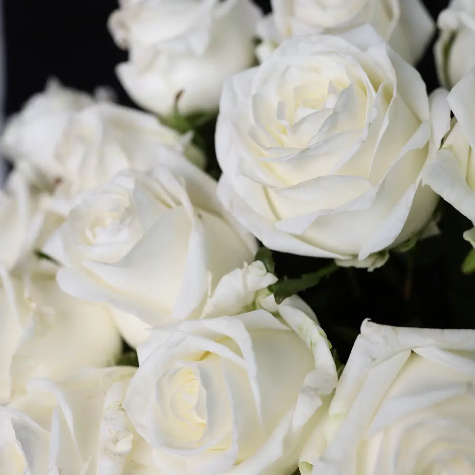 Моно букет из 15 белых роз