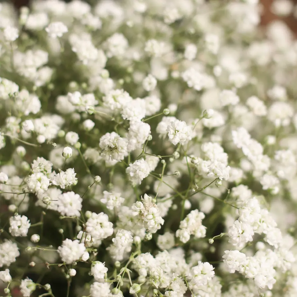 Шляпная коробка 16