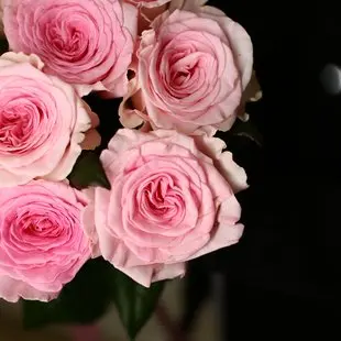 Моно букет из 9 роз Мандала