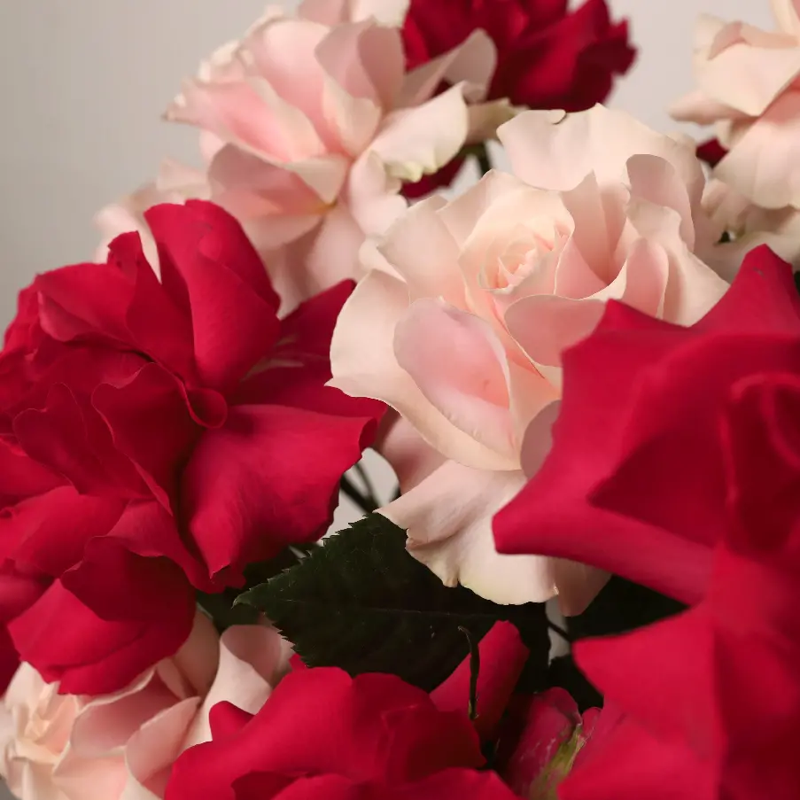 Шляпная коробка 1406