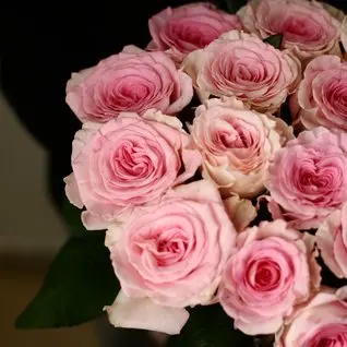 Моно букет из 15 роз Мандала