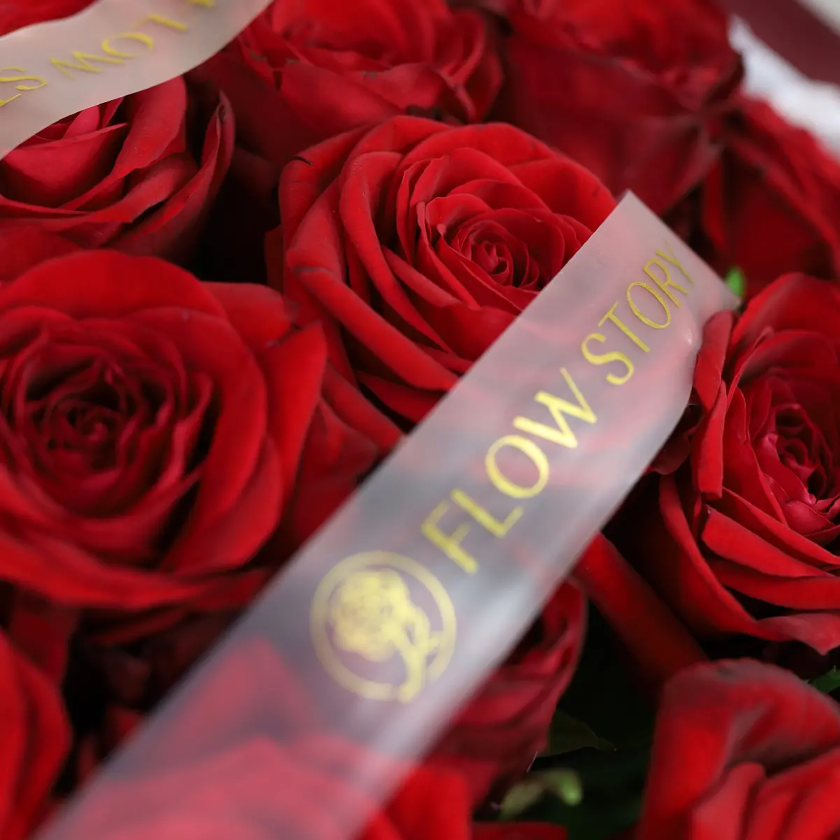 Моно Наоми 25