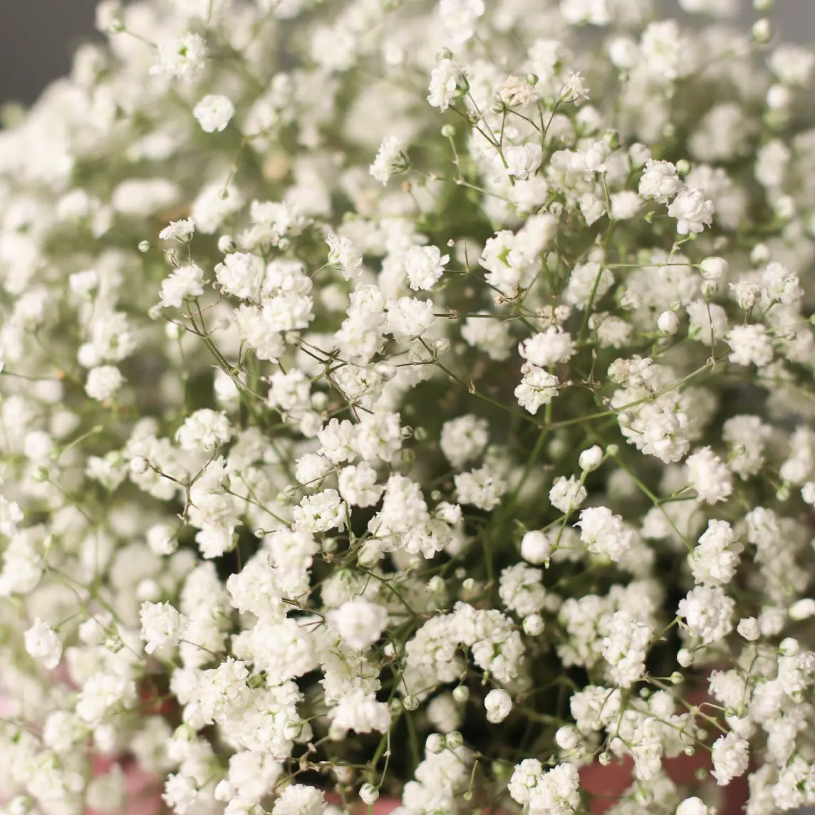 Шляпная коробка 16