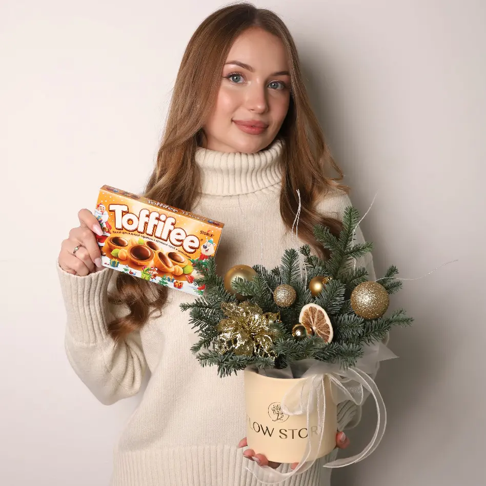 Новогодний сэт 2