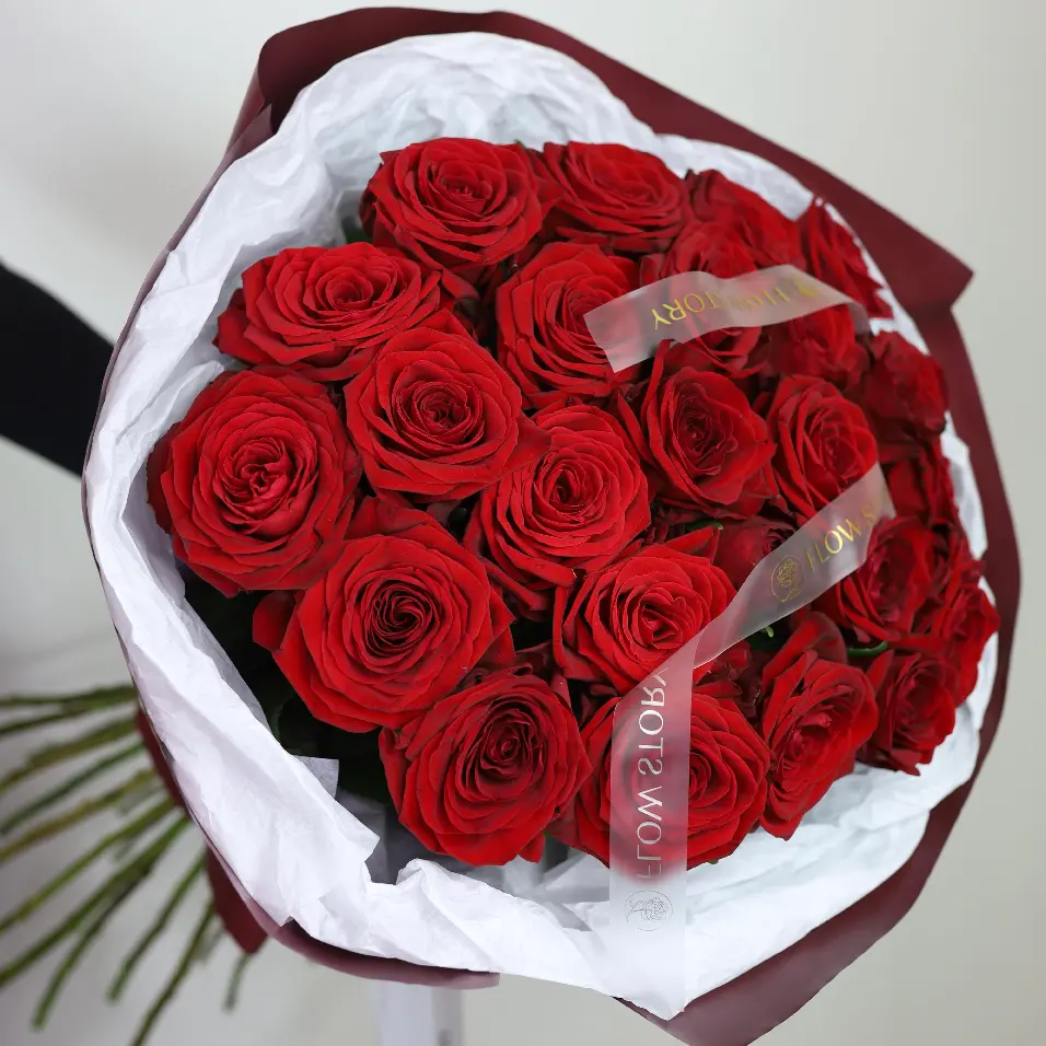 Моно Наоми 25