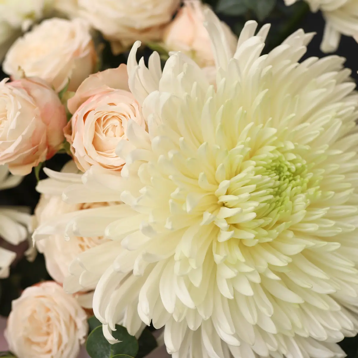 Шляпная коробка 1012