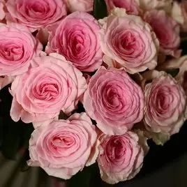 Моно букет из 25 роз Мандала