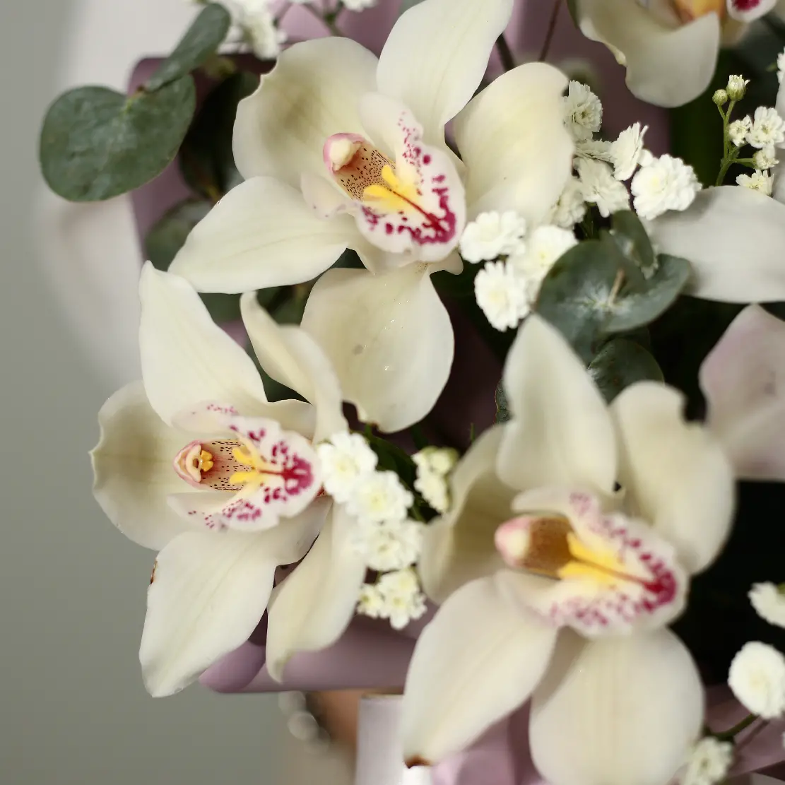 Шляпная коробка 580