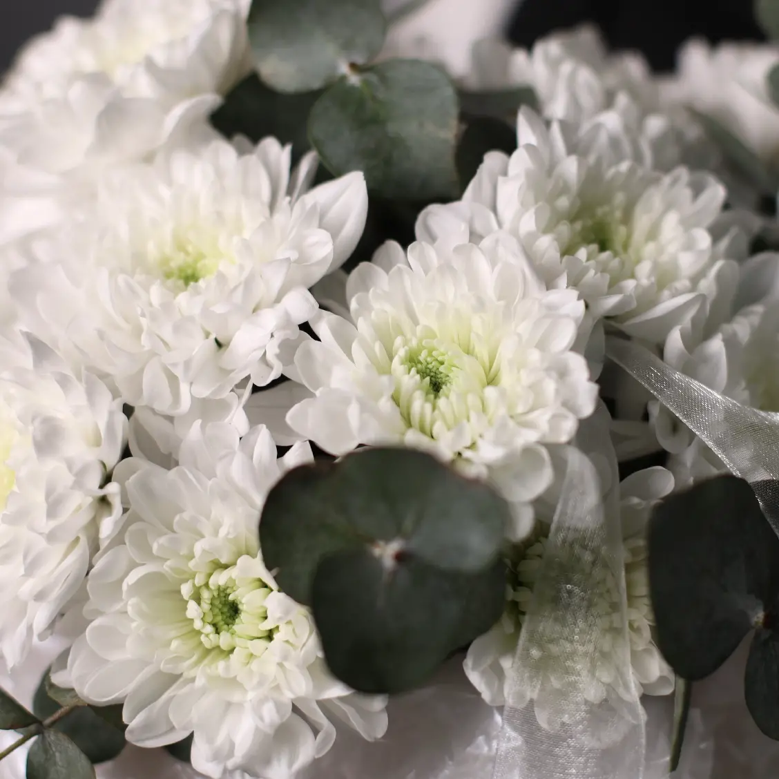 Шляпная коробка 480