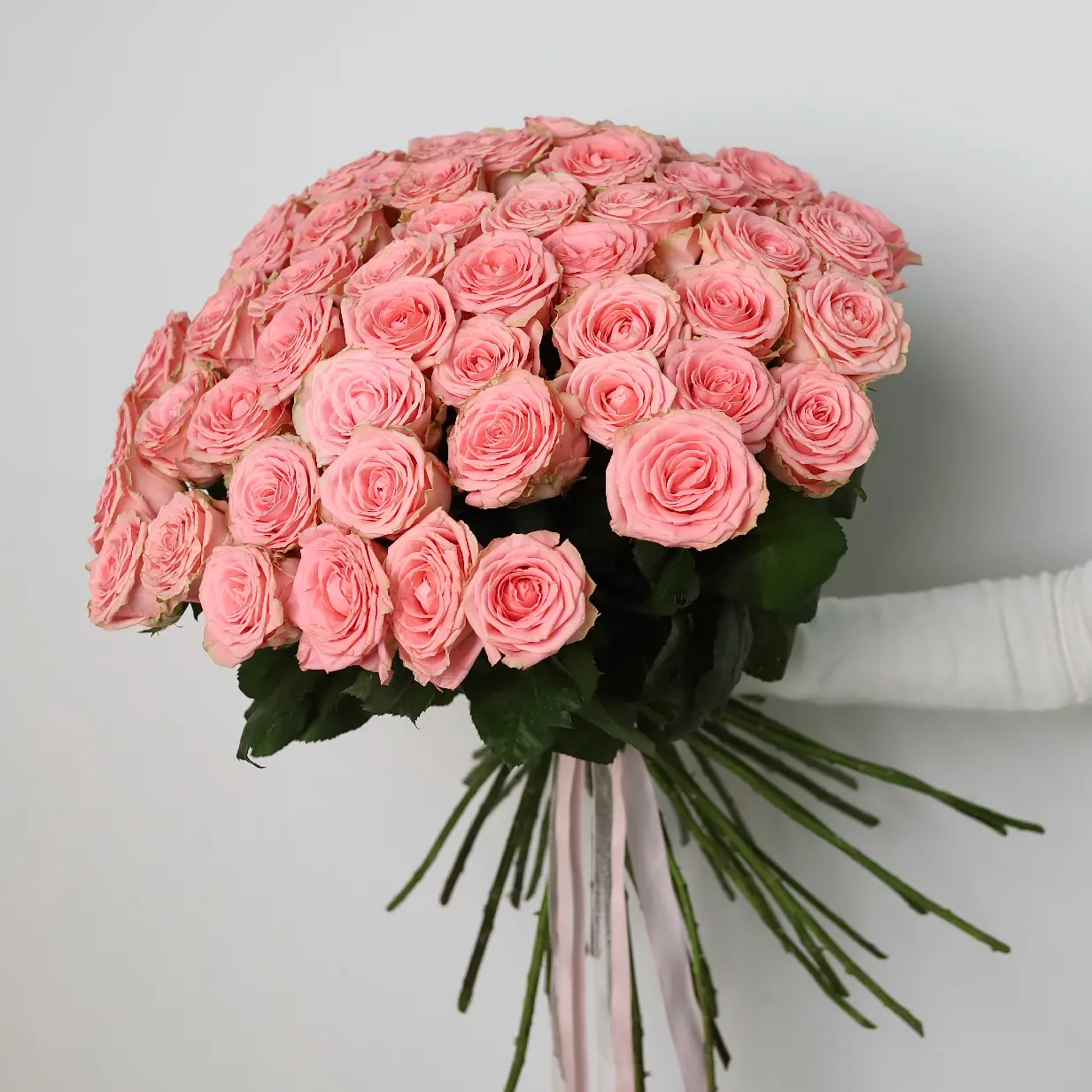 Моно букет из роз Софи 51