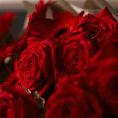 Букет 1474 из гербер и роз