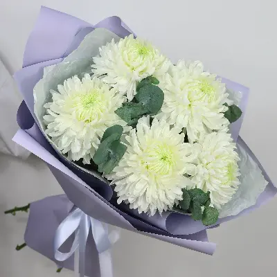 Букет 300 из хризантем и эвкалипта