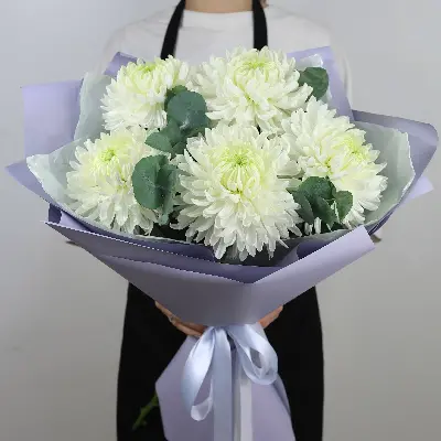 Букет 300 из хризантем и эвкалипта