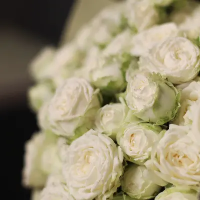 Букет 344 из кустовых роз