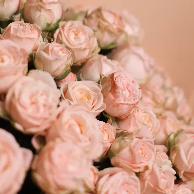 Букет 364 из кустовых роз