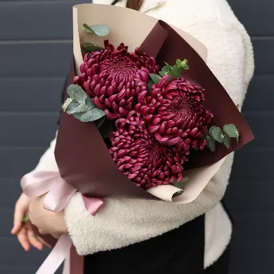 Букет 371 из хризантем бигуди и эвкалипта