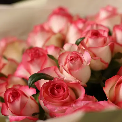 Букет 44 из роз