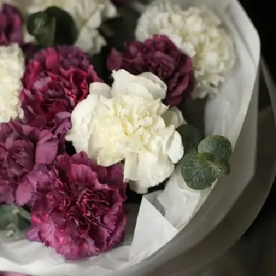 Букет 493 из диантусов и эвкалипта