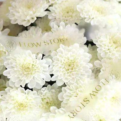 Букет 50 из хризантем