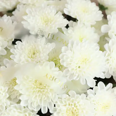 Букет 50 из хризантем