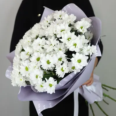 Букет 53 из хризантем