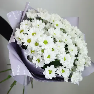 Букет 53 из хризантем