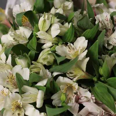 Букет 563 из альстромерии