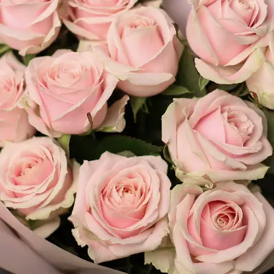 Букет 620 из роз