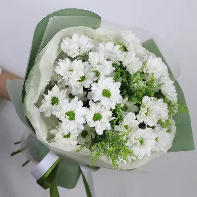 Букет 634 из хризантем и зелени