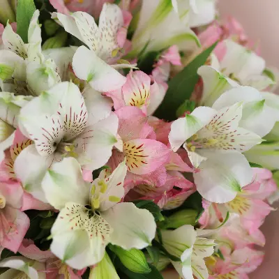 Букет 74 из альстромерии