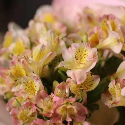 Букет 969 из альстромерии