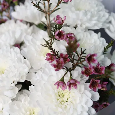 Букет 99 из хризантем и хамелациума