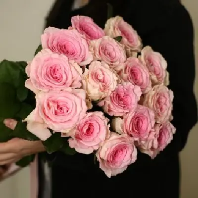 Моно букет из 15 роз Мандала