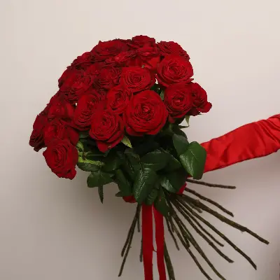 Моно букет из 25 красных роз