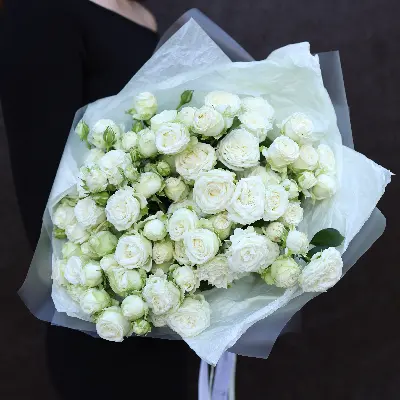 Моно букет из 9 белых кустовых роз