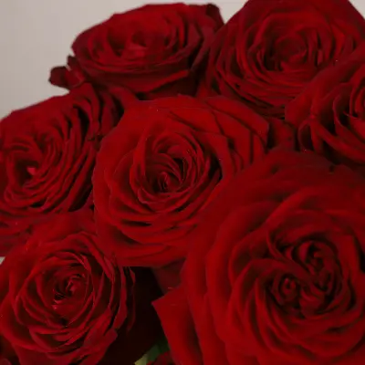 Моно букет из 9 красных роз
