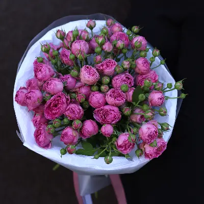 Моно букет из малиновых кустовых роз 9
