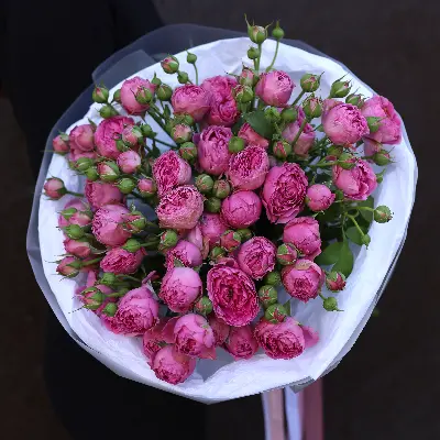 Моно букет из малиновых кустовых роз 9