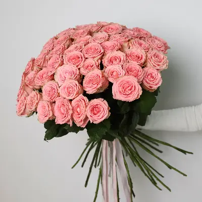 Моно букет из роз Софи 51