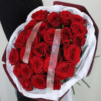 Моно Наоми 25