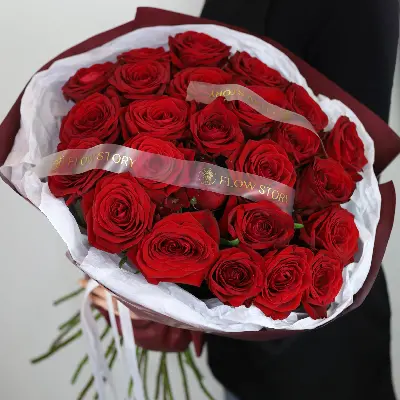 Моно Наоми 25