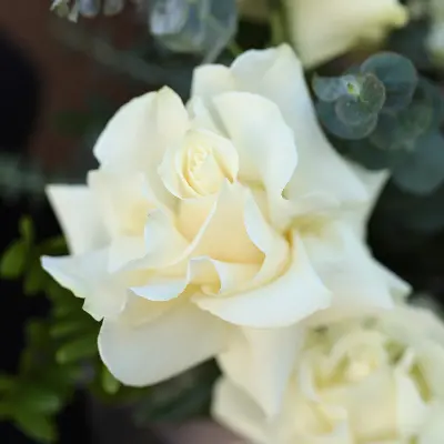 Шляпная коробка 1100 из роз и эвкалипта