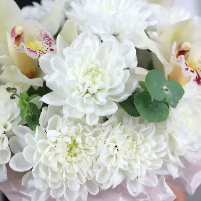 Шляпная коробка 13