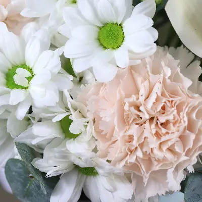 Шляпная коробка 15