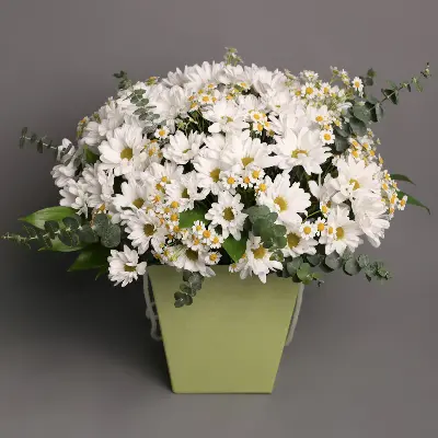 Шляпная коробка 256