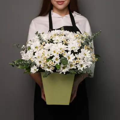 Шляпная коробка 256